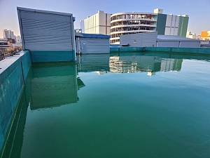 인천옥상방수공사 부천옥상방수 경기옥상방수 서울옥상방수공사