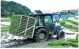 트랙터용 육묘상자 운반기[BAS168T]